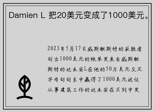 Damien L 把20美元变成了1000美元。